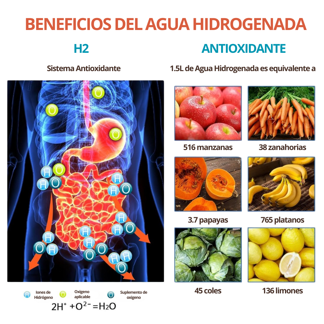 Vida y Salud - Botella de agua de hidrógeno portátil